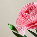 **

A close-up shot of a handmade pink carnation made from crepe paper. The focus is on the delicate, ruffled petals and the subtle texture of the paper. Soft, diffused lighting to highlight the flower's beauty. Emphasize the feeling of love and respect.

**